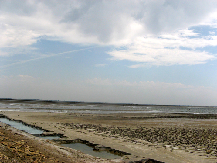 2007-07 Camargue 006.jpg